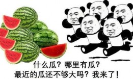 朝阳号外官网免费吃瓜 热门大瓜往期内容,揭秘朝阳号外热门大瓜往期精彩内容